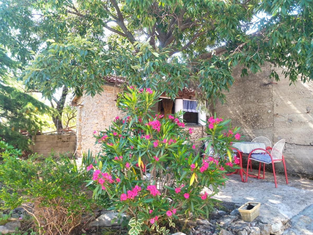 Apartment Tuja Jadrtovac 外观 照片